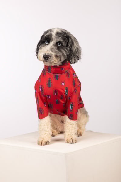 Patterned Dog Raincoats - Yapham - Bugs Red