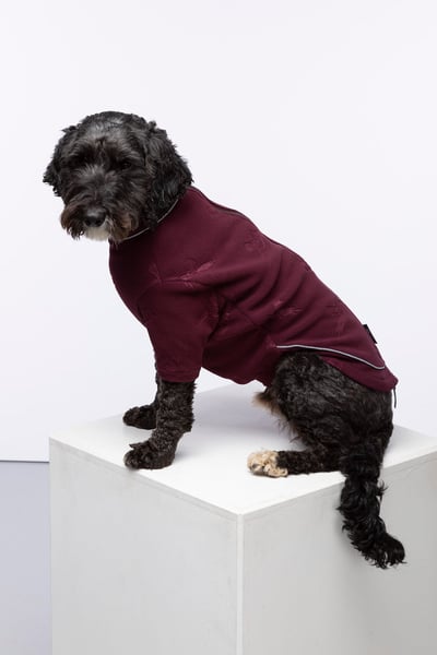 Pheasant Fleece Dog Jumper - Haxby - Burgundy