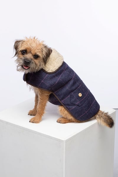 Tweed Dog Coat - Navy