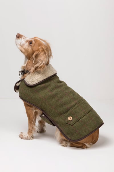 Tweed Dog Coat - Plum