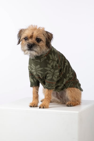 Fair Isle Fleece Hundepullover - Kelk - Olive