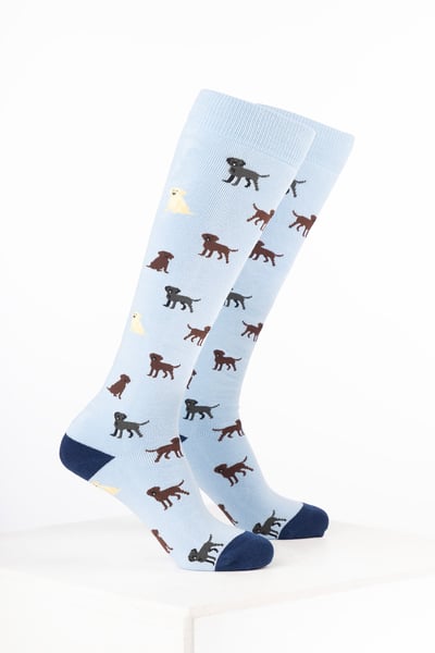 Women’s Dog Welly Socks - Labrador Soft Blue