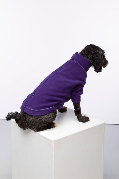 Fleece Dog Jumper - Yapham - Purple