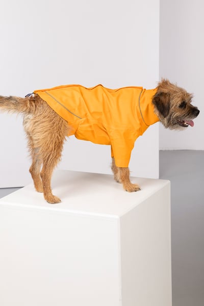 Dog Raincoats - Yapham - Yellow