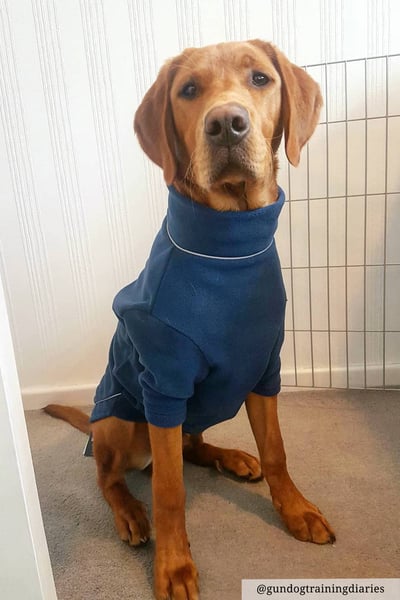 Fleece-Hundepullover - Yapham - Denim