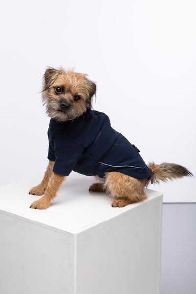 Pheasant Fleece Dog Jumper - Haxby - Ink