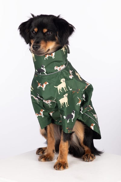 Spritzschutz für Hunde - Yapham - Schwanzwedelnder Hund