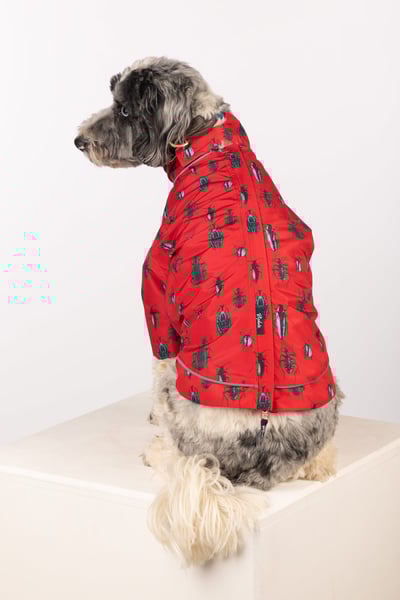Patterned Dog Raincoats - Yapham - Bugs Red