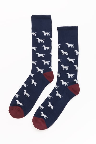 Men's Labrador Socks - Navy