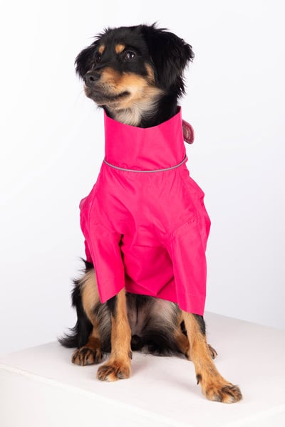 Dog Raincoats - Yapham - Bonbon