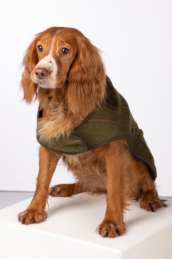 Fleece Lined Tweed Dog Coat ES Tweed Dog Jacket Rydale