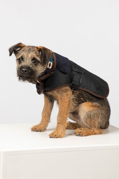 Wax Dog Coat - Navy