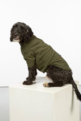 Gundog clothing store