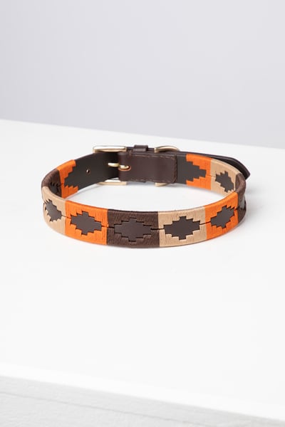 Collier pour chien Polo Belt - Burnt Orange/Brown/Beige