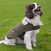Hundemäntel und -jacken aus Tweed
