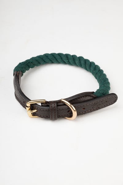Rope Dog Collar – Yapham - Green