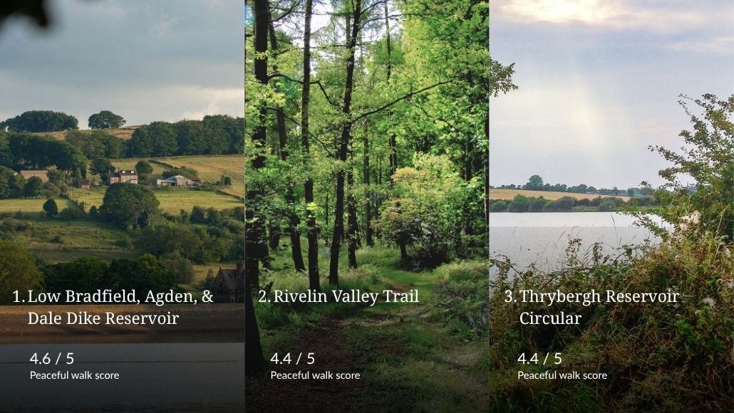 South Yorkshire's best walks