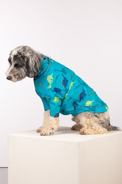 Patterned Dog Raincoats - Yapham - Dinosaur Blue