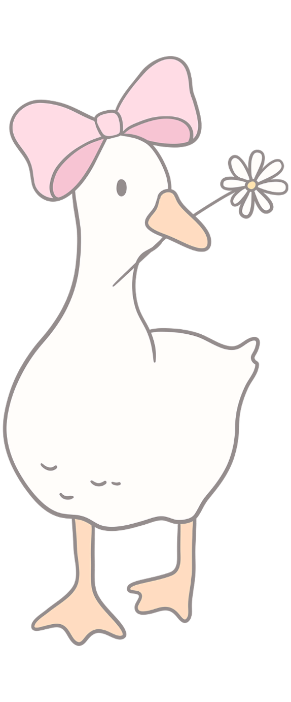 Decoration Duck Image 3