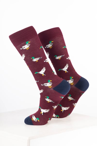 Men's Bamboo Rich Bird Ankle Socks - Duck Wine