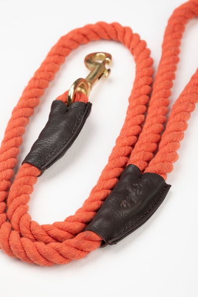 Rope Dog Lead – Yapham - Burnt Orange