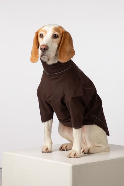 Dog Raincoats - Yapham - Dark Brown