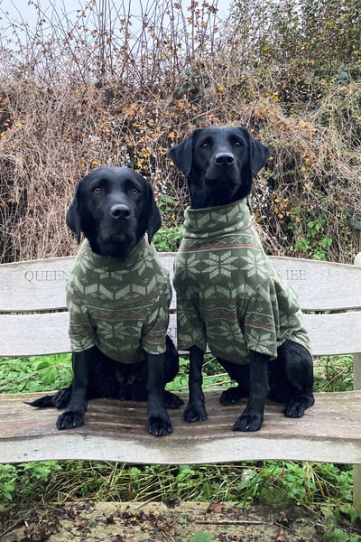 Fair Isle Fleece Hundepullover - Kelk - Olive