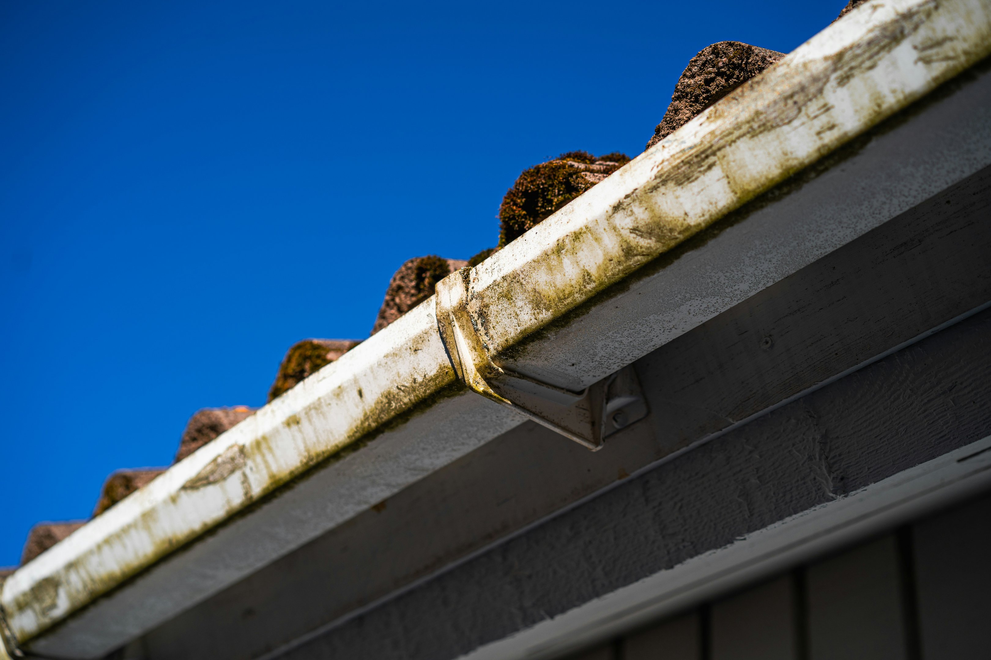 Close-up of clogged and mossy house gutters, highlighting the importance of clearing gutters during winter home maintenance.