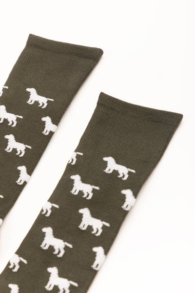 Men's Labrador Socks - Dark Olive