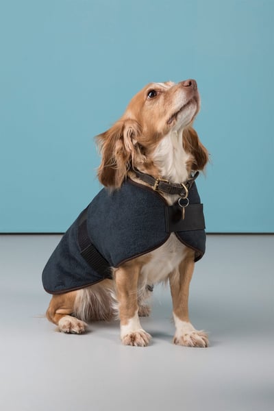 Fleece Dog Coat - Iron