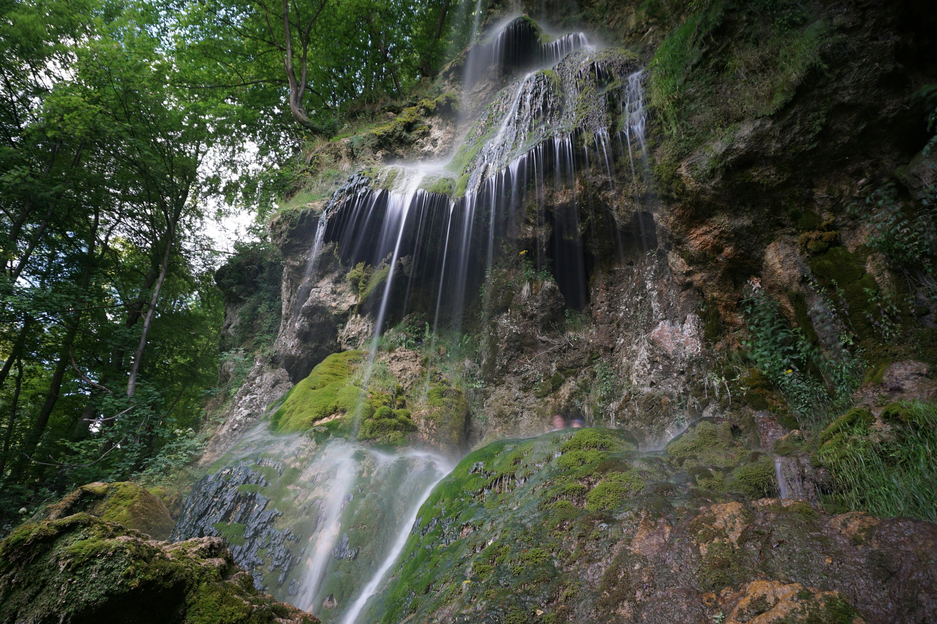 Hareshaw Linn
