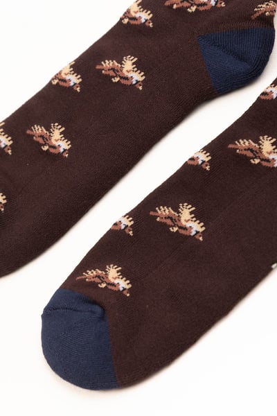 Chaussettes Faisan Volant pour Homme - Marron foncé