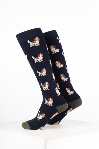 Calcetines de agua con diseño de animales para niños - Spaniel Azul Oscuro
