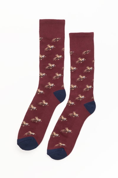 Chaussettes Faisan Volant pour Homme - Bourgogne