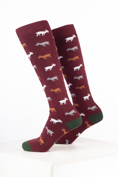Chaussettes en caoutchouc pour hommes à motifs animaux - Vin de chèvre