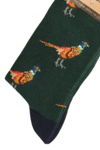 Ladies Bamboo Funky Socks - Pheasants