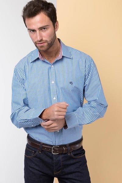 Klassische Oxford-Baumwollhemden für Herren - Matthäus Blau