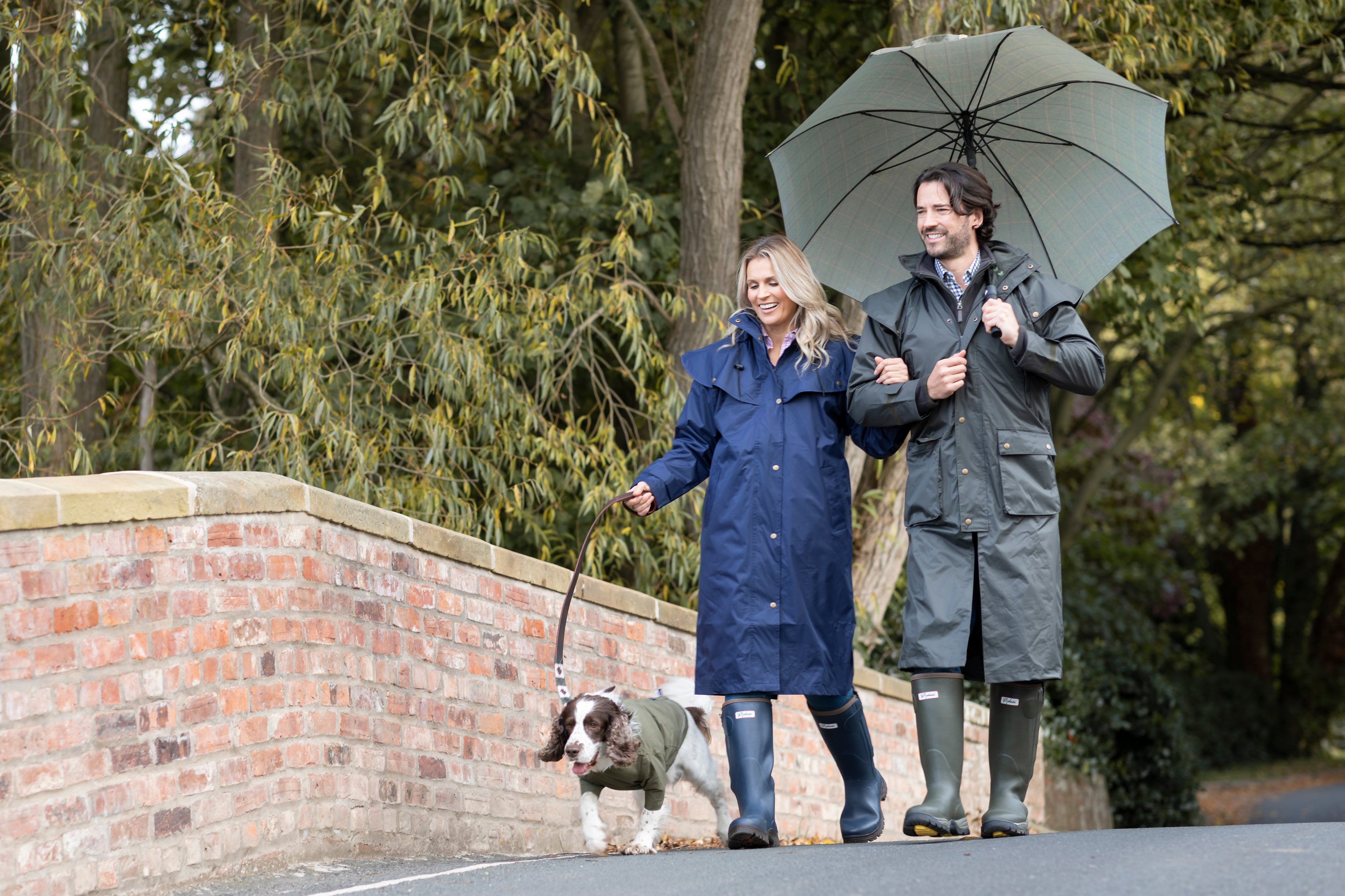 Dog walk in the rain