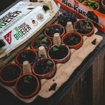 Seed Trays & Potting