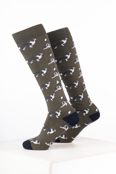 Herren-Gummistiefelsocken für Hunde - Border Collie Dunkeloliv