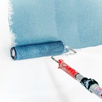 Paint Brushes & Rolls