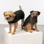 Animal Clothing & Accessories