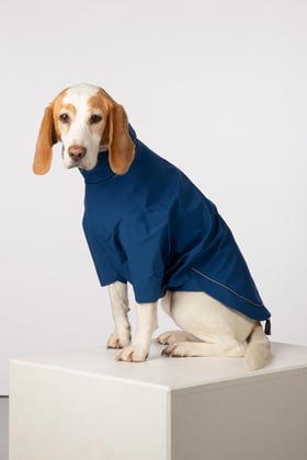 Dog Raincoats - Yapham
