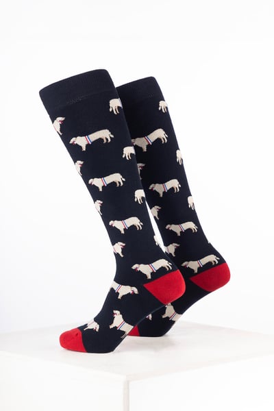 Calcetines de agua con diseño de animales para niños - Toro Campeón Azul Marino