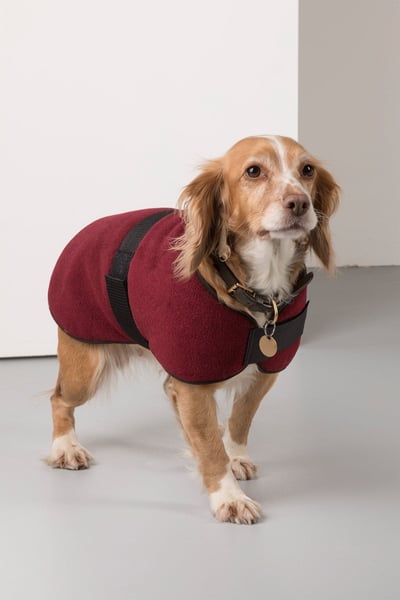 Fleece Dog Coat - Red