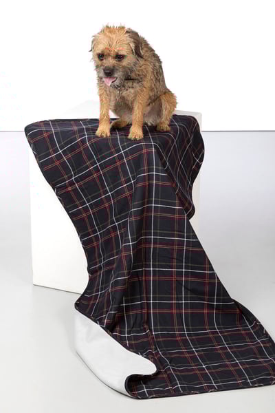 Fleece Dog Blanket - Yapham - Navy/Silver