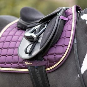 What Size Saddle do I Need for my Horse