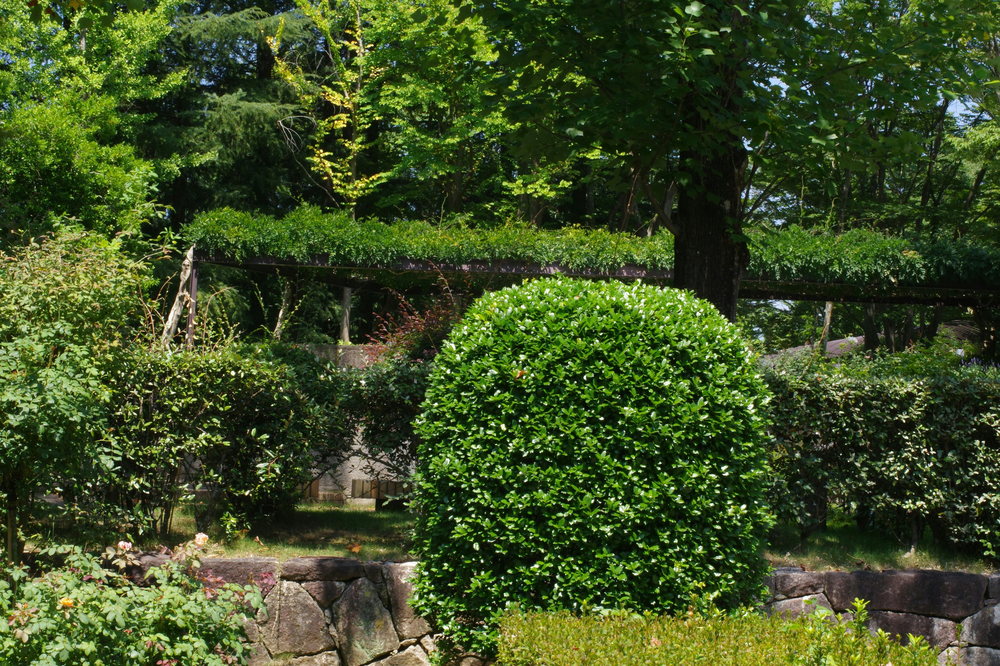Speke Hall Grounds