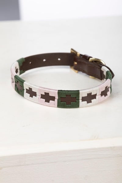 Collier pour chien Polo Belt - Kaki/Blanc/Sorbet