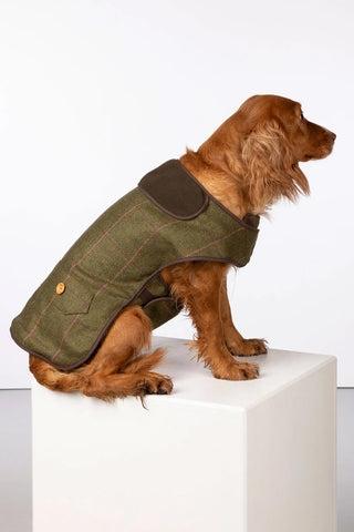 Abrigo de perro de tweed